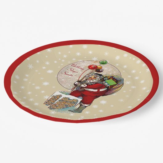 サンタ&ザナローチムニークリスマス紙プレート ペーパープレート (アングル)