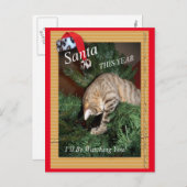 サンタ・ザ・キャットが葉書を見ているよ シーズンポストカード (正面/裏面)