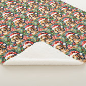 サンタ・ダシュントとエバーグリーン： シェルパブランケット (3/4)