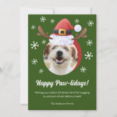 サンタ・トナカイ・アントラー・ハット付き犬のクリスマスフォト シーズンカード (正面)