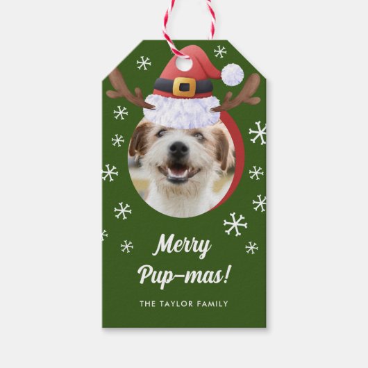 サンタ・トナカイ・アントラー・ハット・クリスマス付き犬の写真 ギフトタグ (正面)