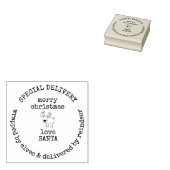 サンタ・トナカイ・クリスマスからの特別配達 ラバースタンプ (押印)