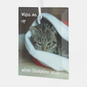 サンタ・ハットで眠い猫 ガラスオーナメント (正面左)