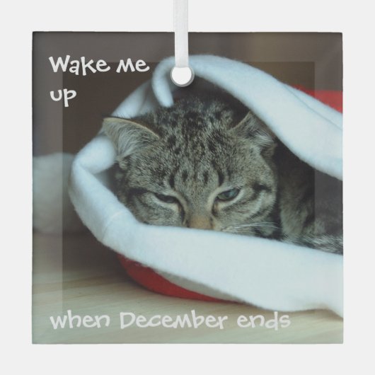 サンタ・ハットで眠い猫 ガラスオーナメント (正面)