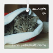 サンタ・ハットで眠い猫 ガラスオーナメント (裏面)