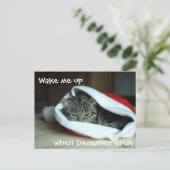 サンタ・ハットで眠い猫 シーズンポストカード (スタンド正面)