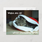 サンタ・ハットで眠い猫 シーズンポストカード (正面/裏面)