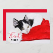 サンタ・ハットのかわいい子猫 サンキューカード (正面/裏面)