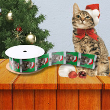サンタ・ハットのクリスマスキャット写真