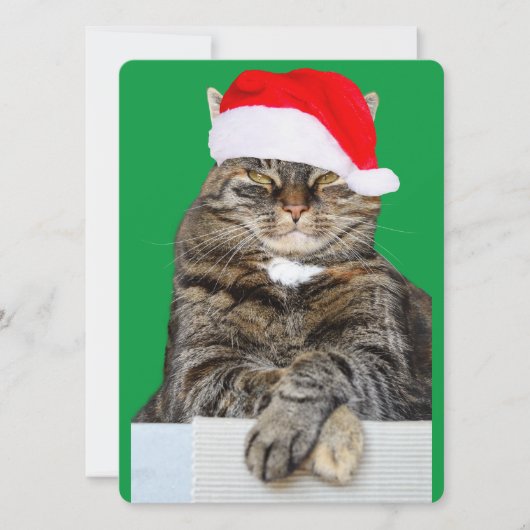 サンタ・ハットのクリスマスキャット写真 シーズンカード (正面)
