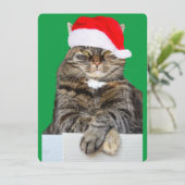 サンタ・ハットのクリスマスキャット写真 シーズンカード (スタンド正面)