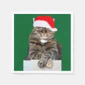 サンタ・ハットのクリスマスキャット写真 スタンダードカクテルナプキン (正面)
