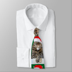 サンタ・ハットのクリスマスキャット写真 ネクタイ