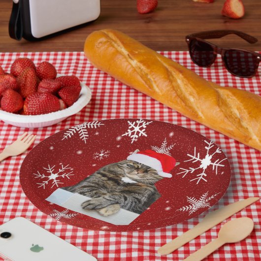 サンタ・ハットのクリスマスキャット写真 ペーパープレート (ピクニック)