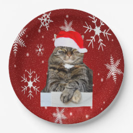 サンタ・ハットのクリスマスキャット写真 ペーパープレート