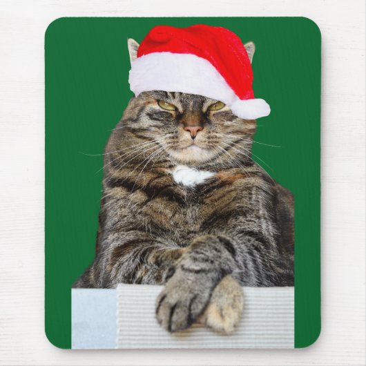 サンタ・ハットのクリスマスキャット写真 マウスパッド (正面)