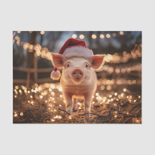 サンタ・ハットのデコパージュで豚 薄葉紙 (正面)