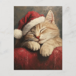 サンタ・ハットの可愛くて居心地の良いクリスマス猫 ポストカード