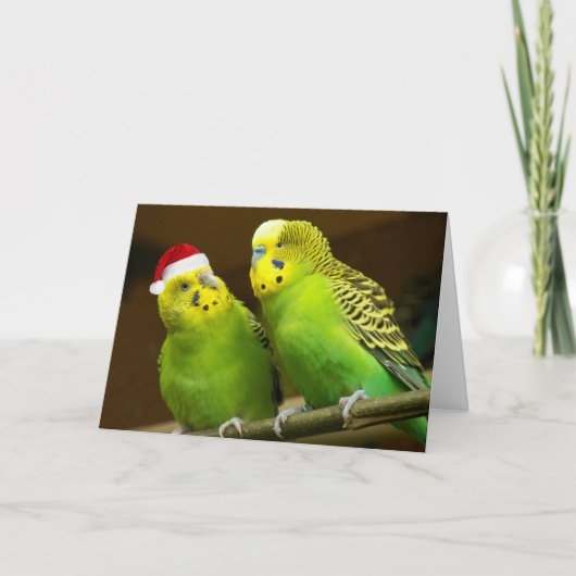 サンタ・ハットの緑と黄色のパレーキおもしろいー シーズンカード (正面)