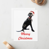 サンタ・ハットの美しいグレートダン ノートカード (正面/裏面インサイチュ)