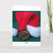 サンタ・ハットの隣のボール・パイソン、スネーククリスマス シーズンカード (裏面)