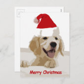 サンタ・ハット付きゴールデンレトリーブクリスマス シーズンポストカード (正面/裏面)