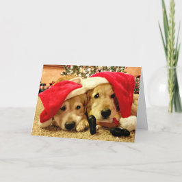サンタ・ハット・クリスマスに2匹のゴールデンレトリバー犬 シーズンカード
