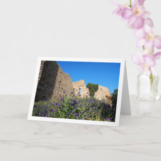 サンタ・バルバラのエルミタージュ、フローラル・ポートレート、スペイン カード (蘭)