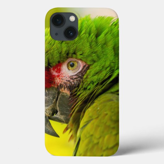 サンタ・バーバラの動物園のコンゴウインコのプロフィール Case-Mate iPhoneケース (裏面)