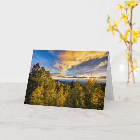 サンタ・フェ国立森林秋の夕暮れ カード (黄色い花)