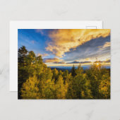 サンタ・フェ国立森林秋の夕暮れ ポストカード (正面/裏面)