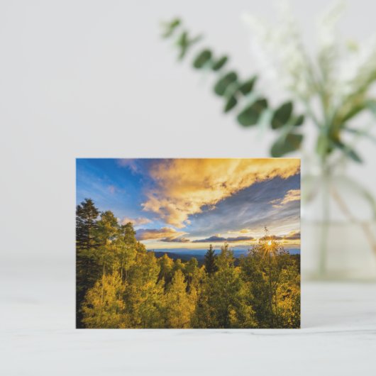 サンタ・フェ国立森林秋の夕暮れ ポストカード (スタンド正面)