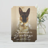 サンタ・ポーズって言った? シーズンカード (スタンド正面)