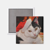 サンタ・ポーズ・キャット マグネット (正面/裏面)