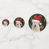 サンタ・ポーズ – クリスタルザハスキードッグクリスマス コンフェッティ (正面)