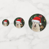 サンタ・ポーズ – クリスタルザハスキードッグクリスマス コンフェッティ (裏面)