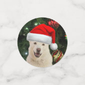 サンタ・ポーズ – クリスタルザハスキードッグクリスマス コンフェッティ (スモール正面)