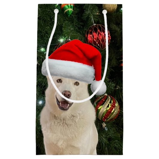 サンタ・ポーズ – クリスタルザハスキードッグクリスマス スモールペーパーバッグ (正面)