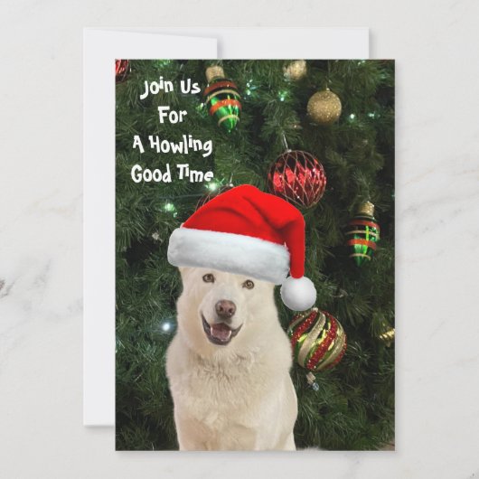 サンタ・ポーズ – クリスタルザハスキードッグクリスマス 招待状 (正面)