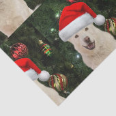 サンタ・ポーズ – クリスタルザハスキードッグクリスマス 薄葉紙 (詳細)