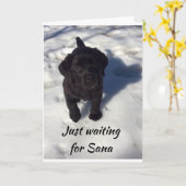 *サンタ・メリーのクリスマスを待っている子犬 カード (黄色い花)