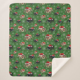 サンタ・リーガル・ジャンピング・スパイダー・フィジップス・レジウス・グリーン シェルパブランケット