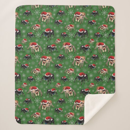 サンタ・リーガル・ジャンピング・スパイダー・フィジップス・レジウス・グリーン シェルパブランケット (正面)