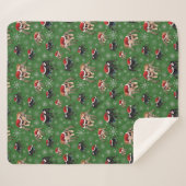 サンタ・リーガル・ジャンピング・スパイダー・フィジップス・レジウス・グリーン シェルパブランケット (正面(横))