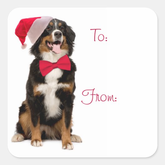 サンタBernerのギフトのラベル スクエアシール (正面)