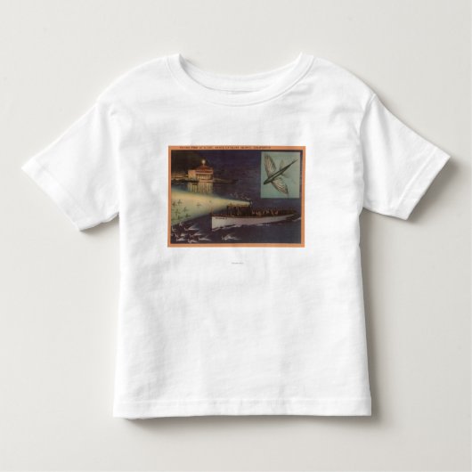 サンタCatalinaの島、カリフォルニアのカジノ、飛魚座 トドラーTシャツ (正面)