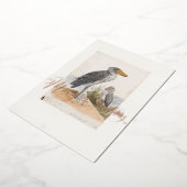 サンダイチョウ 1887年 動物学アフリカ 箔シーズンカード (回転した状態)