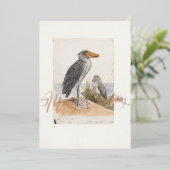 サンダイチョウ 1887年 動物学アフリカ 箔シーズンカード (立ち正面)