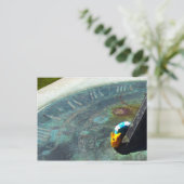 サンダイヤルを訪れる黄色いカタツムリ ポストカード (スタンド正面)