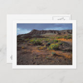 『サンダウナー高原』 ポストカード (正面/裏面)